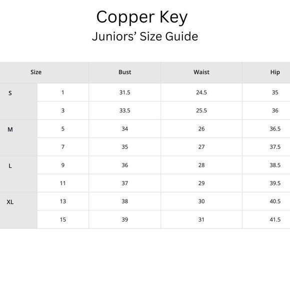 Copper Key Plaid Long Sleeve Smocked Tiered Dress Blue Juniors Small NWT - Picture 12 of 12